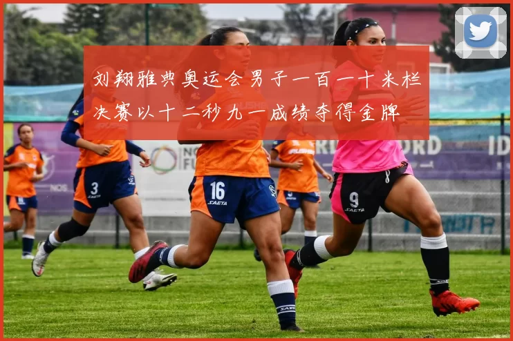 刘翔雅典奥运会男子一百一十米栏决赛以十二秒九一成绩夺得金牌