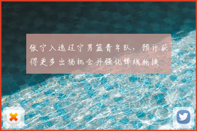 张宁入选辽宁男篮青年队，预计获得更多出场机会并强化锋线轮换